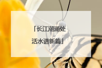长江潮涌处 活水谱新篇